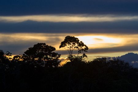 elkepeszto-amazonas-(1).jpeg