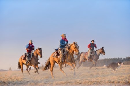 Nyaralj-cowboykent!-A-legjobb-ranchok-az-Egyesult-Allamokban-(1).jpg