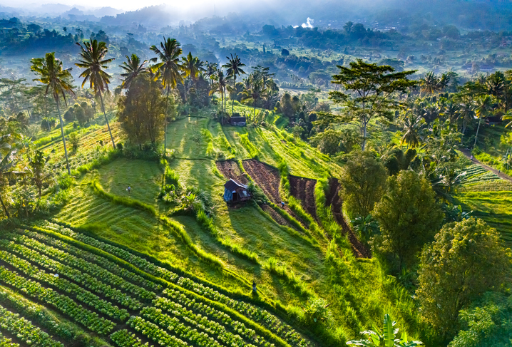 Bali utazas